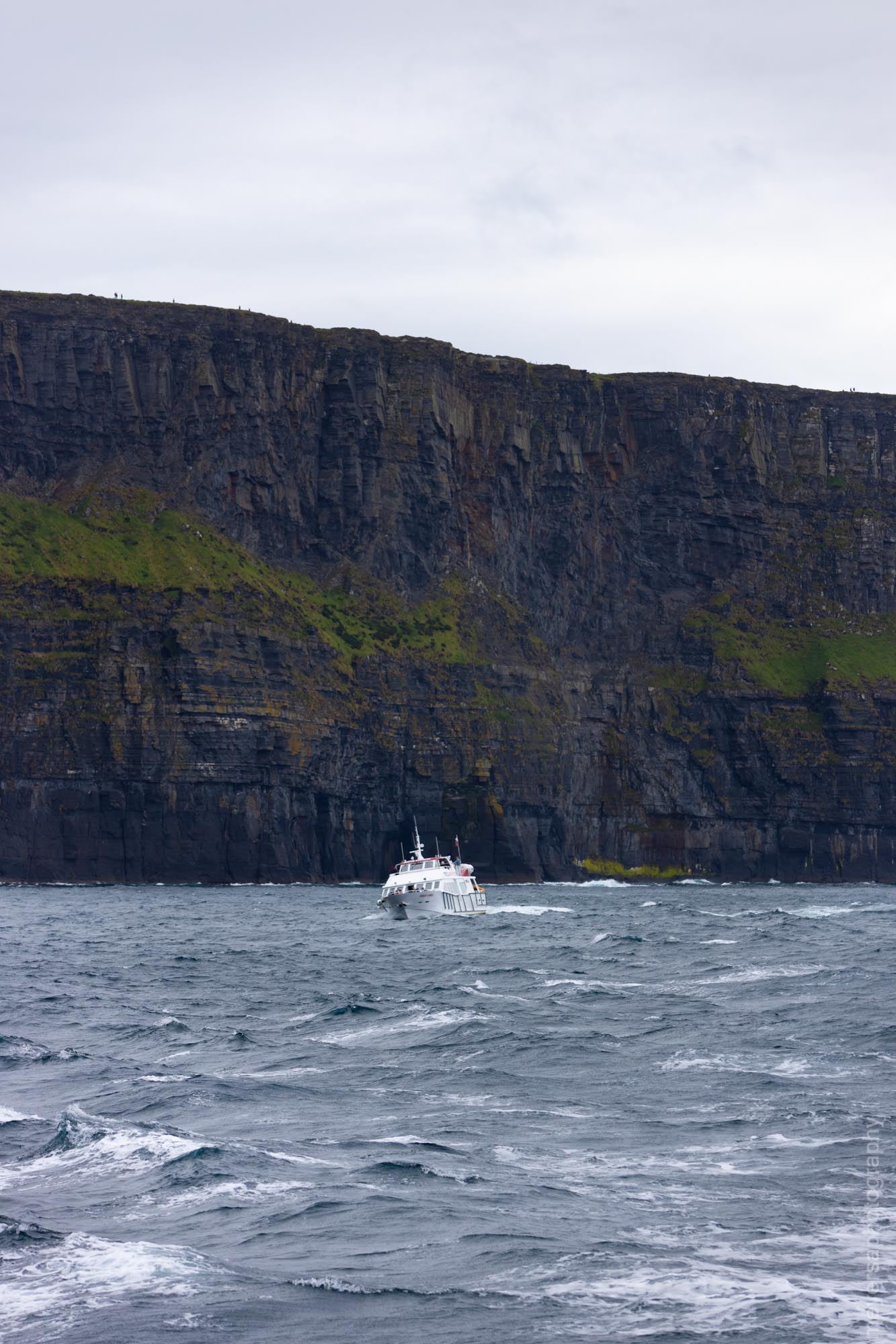 Cliffs of Moher from a boat