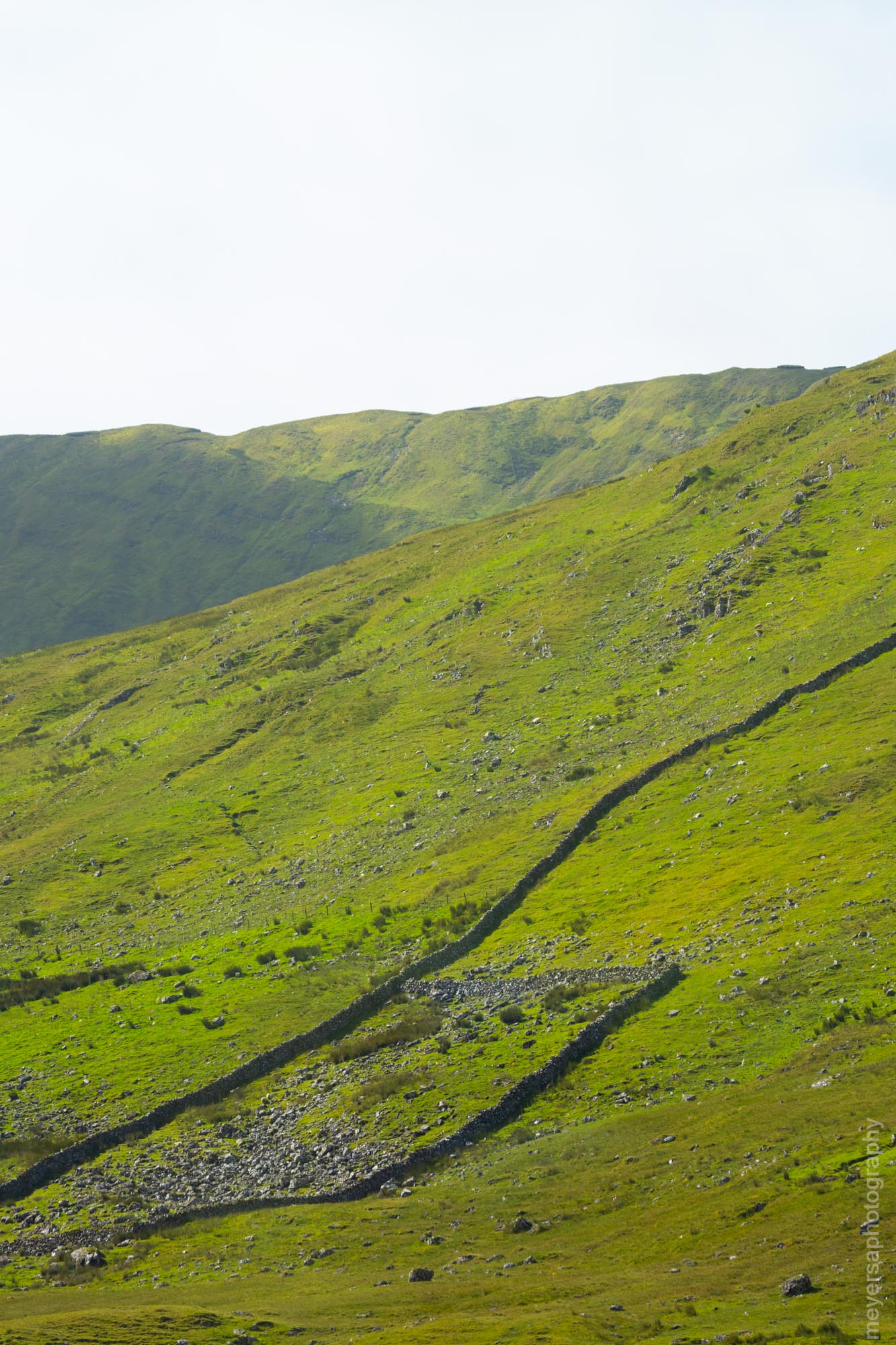 Walls throughout Ireland put up during the famine