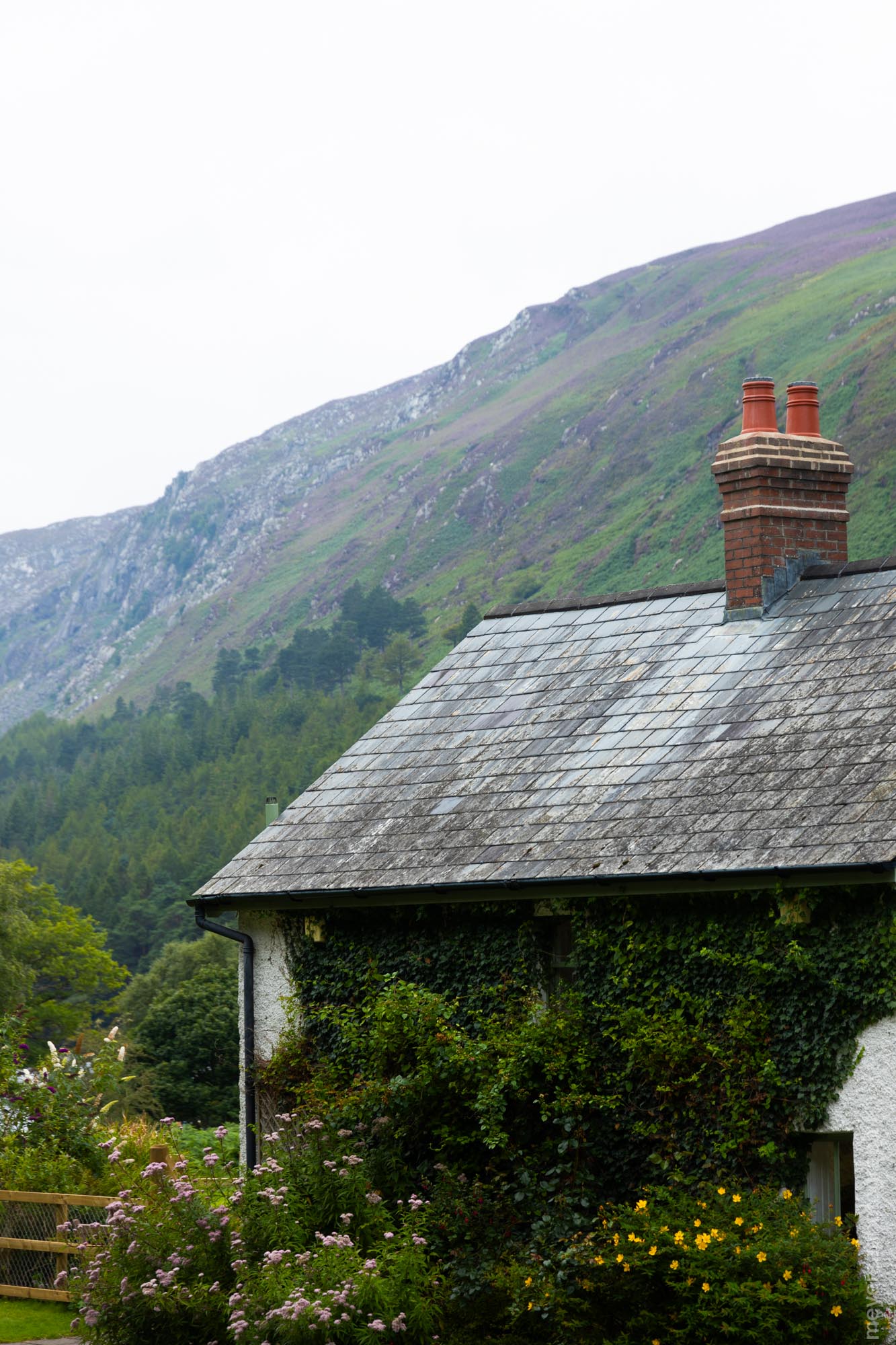 House in the Wicklow park near the lower lake