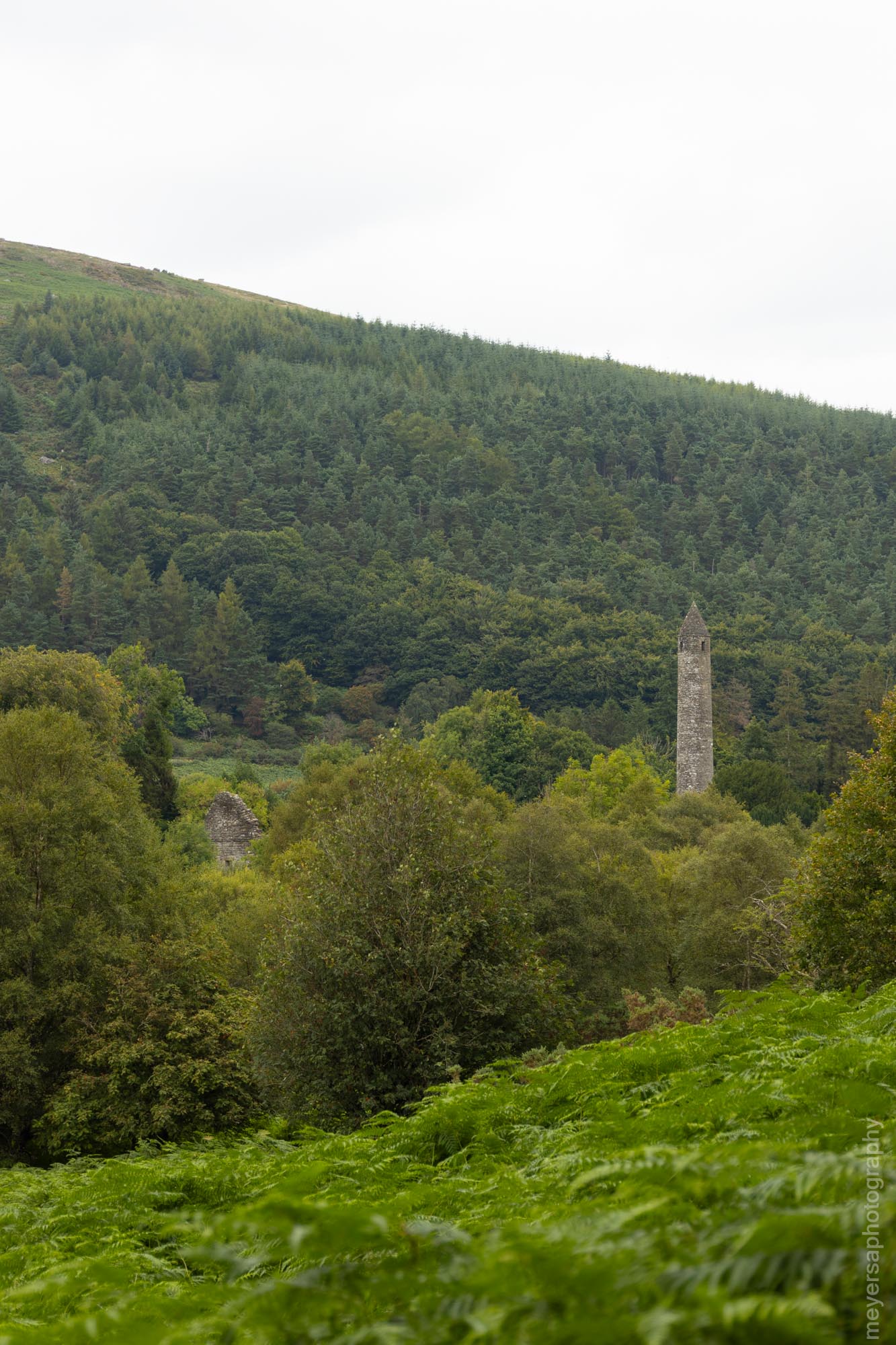 Cemetary tower peaking out in the Wicklow park