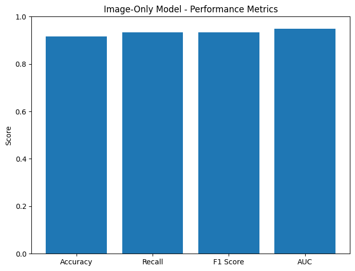 Image-Only Results